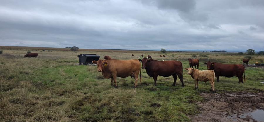 Commercial Property for Sale in Klerksdorp Rural North West